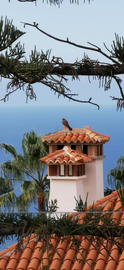 Casa Moja - La Palma Villa Тазакорте Екстериор снимка